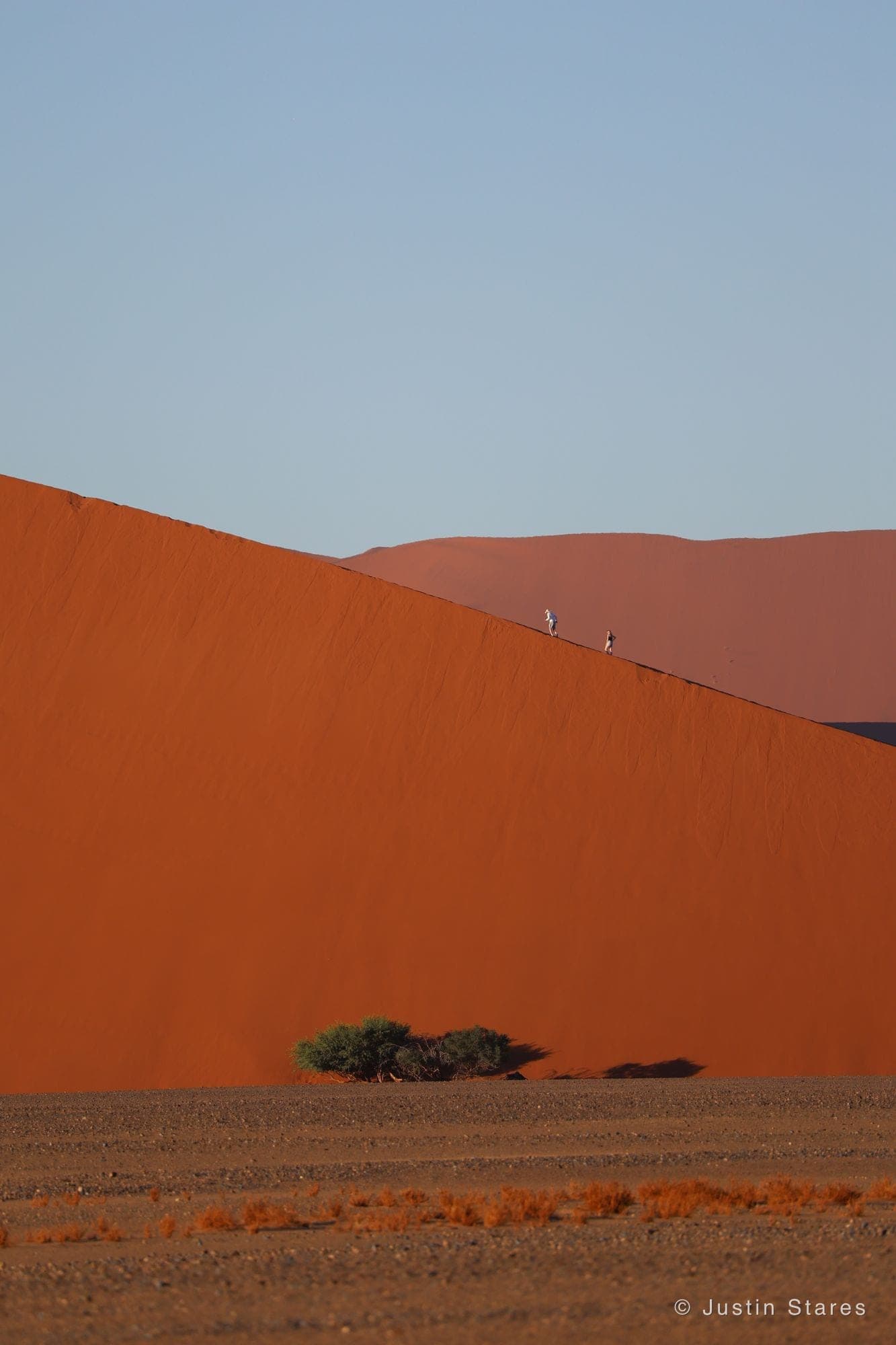 Dune Walkers II