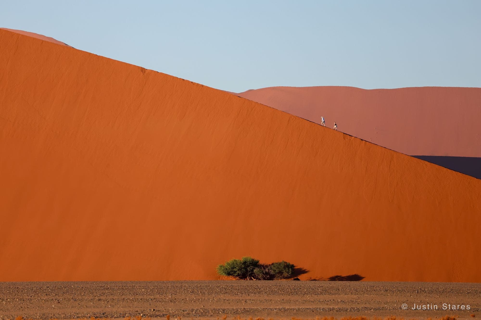 Dune Walkers