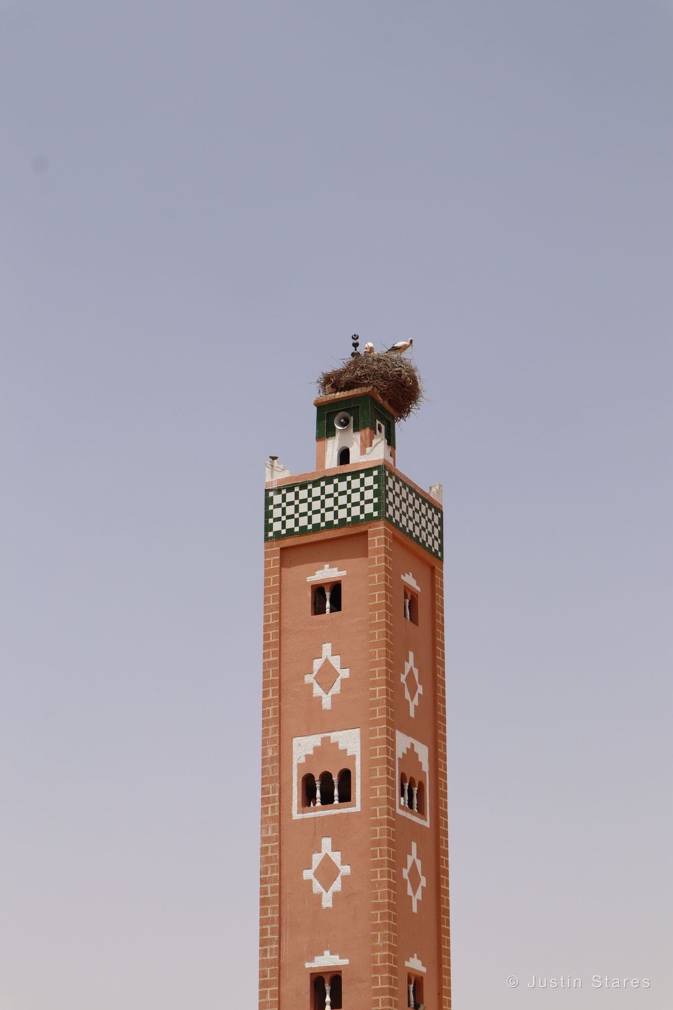 Minaret and Stork