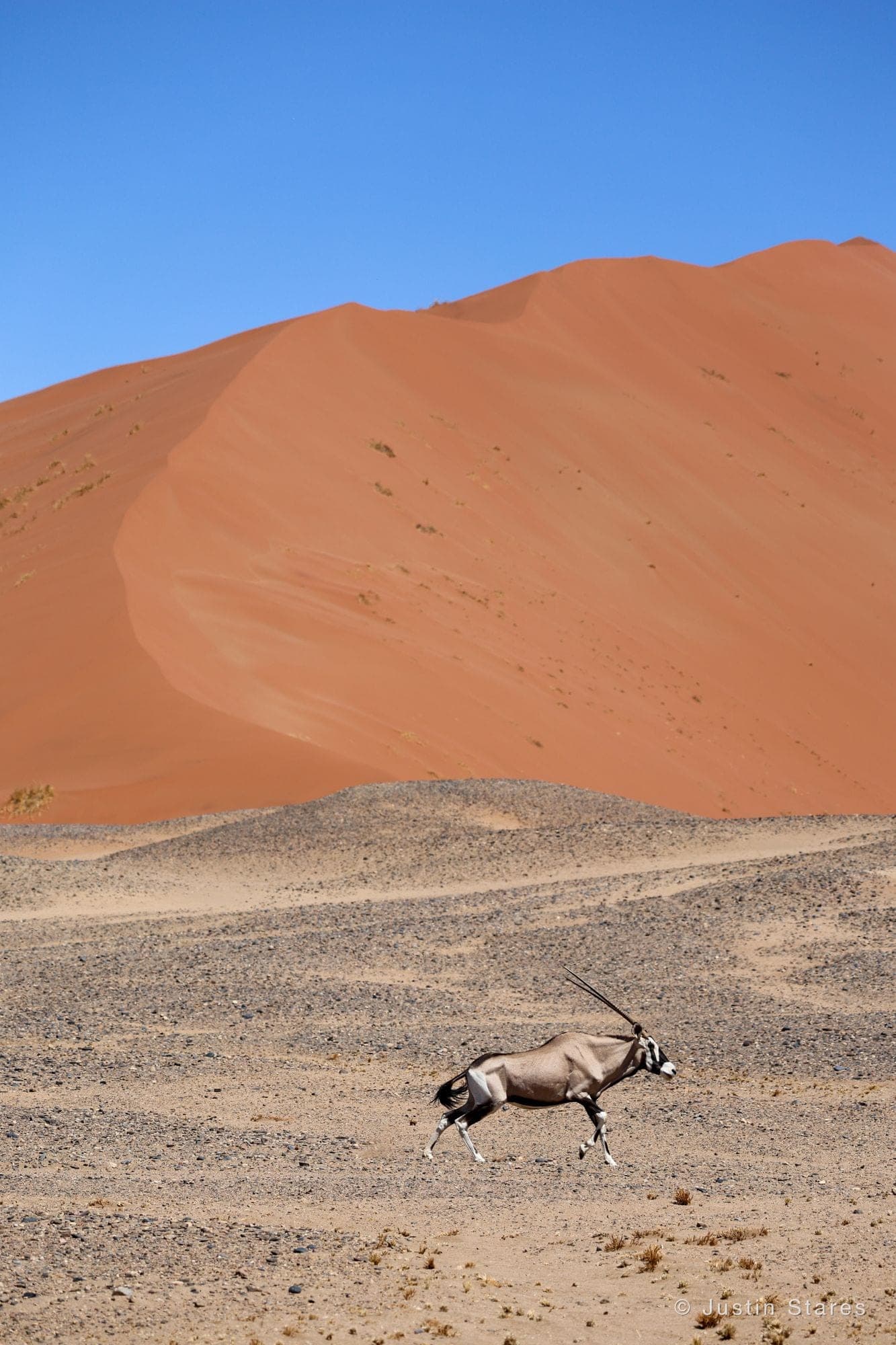 Running Oryx