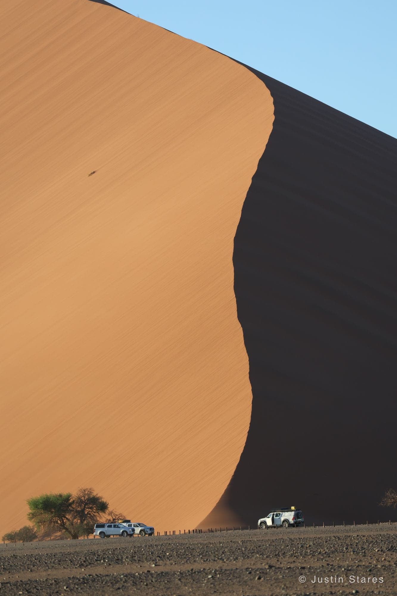 Sense of Scale